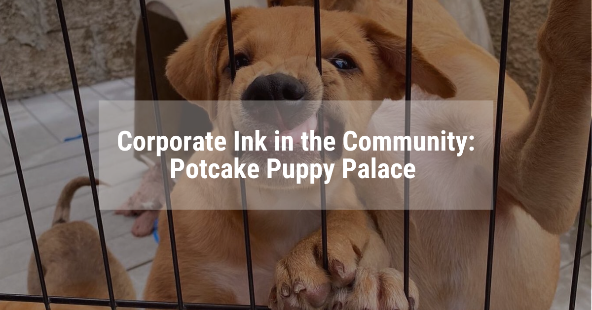 Potcake Puppy Palace - Corporate Ink and the Community blog