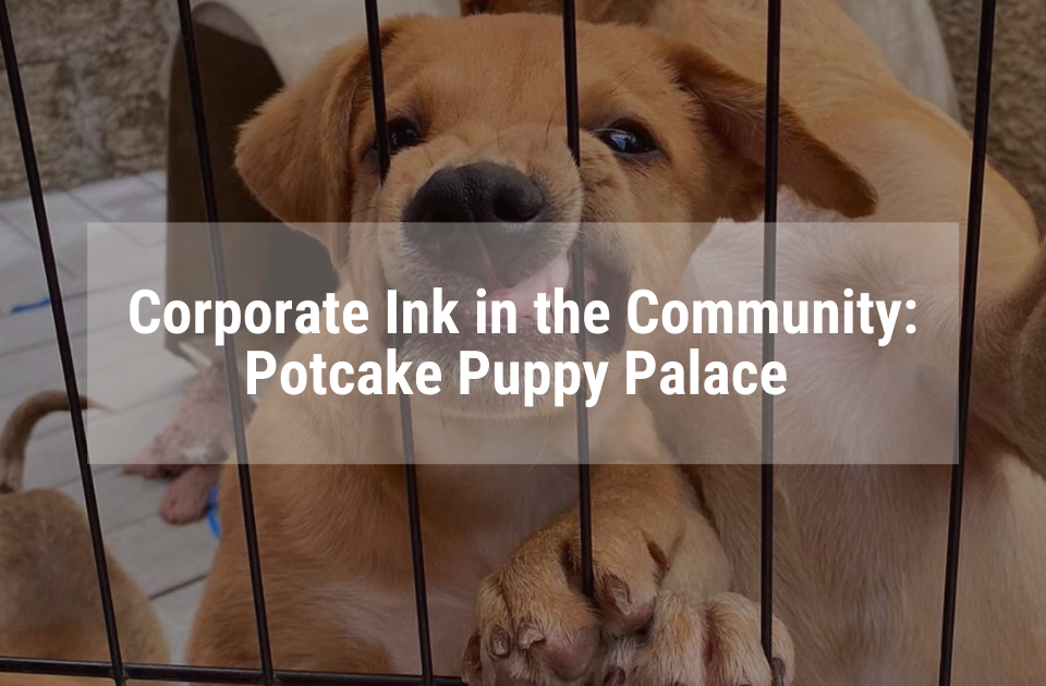 Potcake Puppy Palace - Corporate Ink and the Community blog