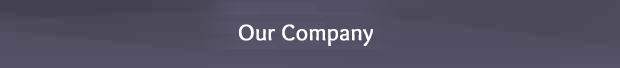 our company-Button